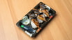 Grilled Eel Sushi